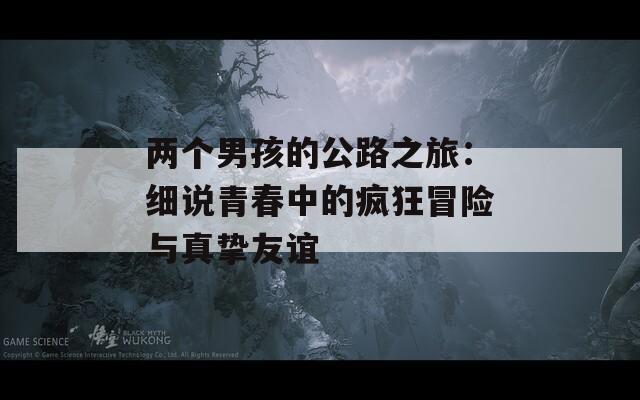两个男孩的公路之旅：细说青春中的疯狂冒险与真挚友谊