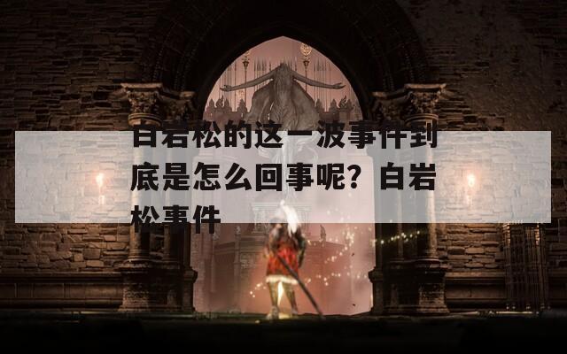 白岩松的这一波事件到底是怎么回事呢？白岩松事件