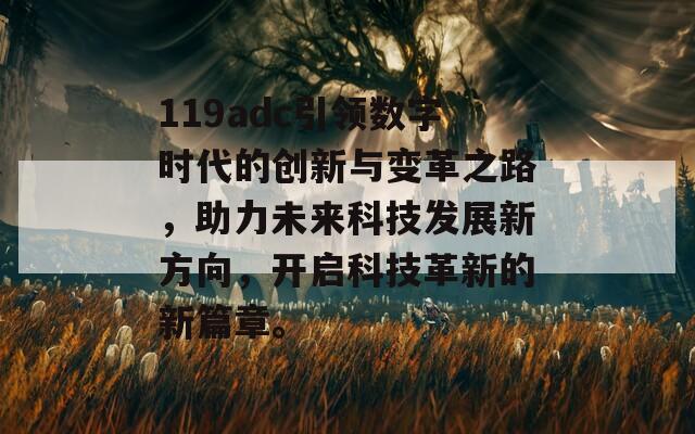 119adc引领数字时代的创新与变革之路，助力未来科技发展新方向，开启科技革新的新篇章。
