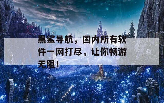 黑鲨导航，国内所有软件一网打尽，让你畅游无阻！