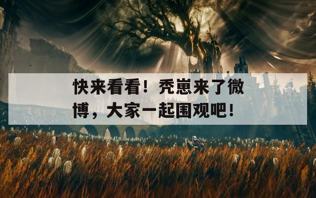 快来看看！秃崽来了微博，大家一起围观吧！