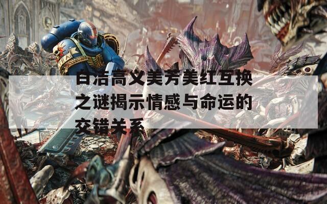 白洁高义美芳美红互换之谜揭示情感与命运的交错关系