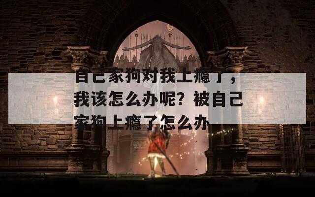 自己家狗对我上瘾了，我该怎么办呢？被自己家狗上瘾了怎么办