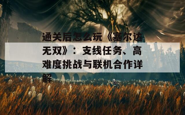 通关后怎么玩《塞尔达无双》：支线任务、高难度挑战与联机合作详解