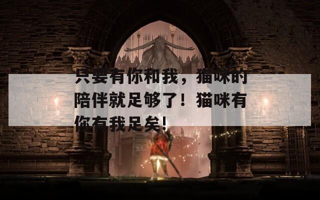 只要有你和我，猫咪的陪伴就足够了！猫咪有你有我足矣!