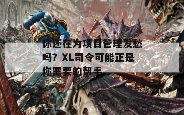 你还在为项目管理发愁吗？XL司令可能正是你需要的帮手