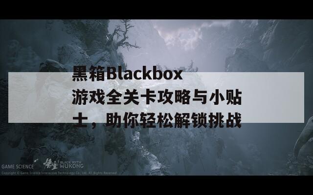 黑箱Blackbox游戏全关卡攻略与小贴士，助你轻松解锁挑战