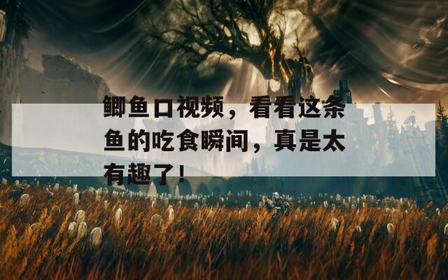 鲫鱼口视频，看看这条鱼的吃食瞬间，真是太有趣了！