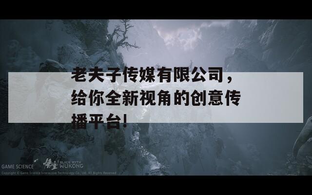 老夫子传媒有限公司，给你全新视角的创意传播平台!