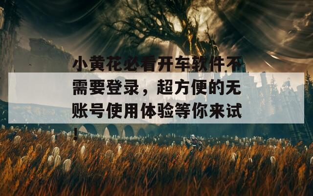 小黄花必看开车软件不需要登录，超方便的无账号使用体验等你来试！