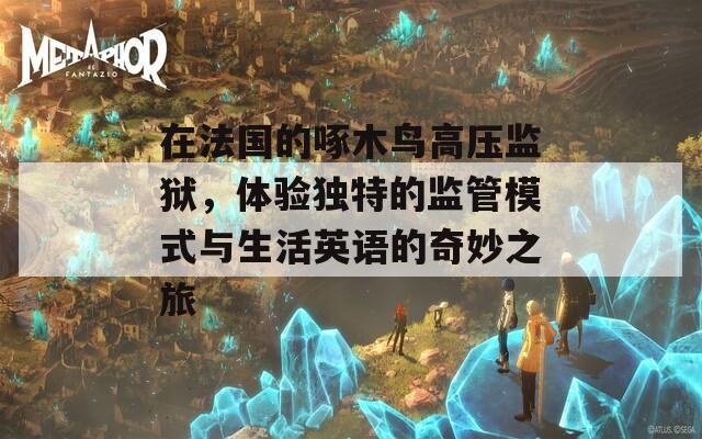 在法国的啄木鸟高压监狱，体验独特的监管模式与生活英语的奇妙之旅