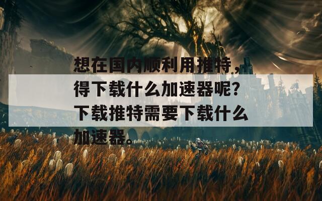 想在国内顺利用推特，得下载什么加速器呢？下载推特需要下载什么加速器。