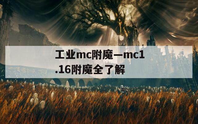 工业mc附魔—mc1.16附魔全了解