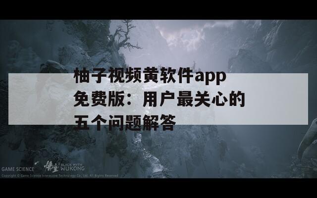 柚子视频黄软件app免费版：用户最关心的五个问题解答
