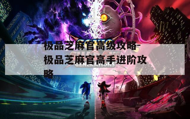 极品芝麻官高级攻略-极品芝麻官高手进阶攻略