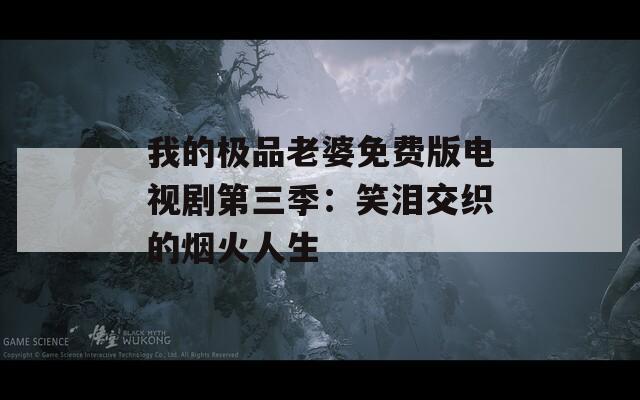 我的极品老婆免费版电视剧第三季：笑泪交织的烟火人生