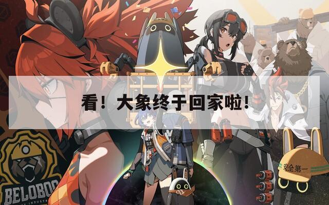 看！大象终于回家啦！